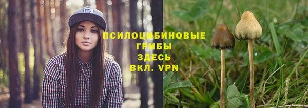 амф Заволжск