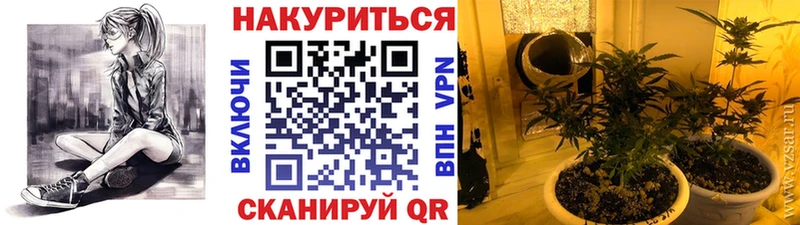 omg маркетплейс  Златоуст  площадка телеграм  МАРИХУАНА конопля 